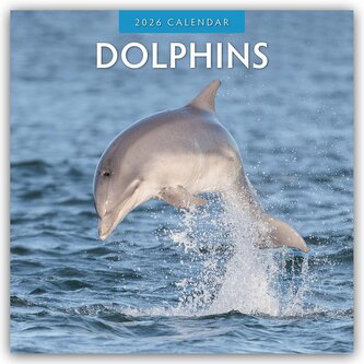 Dolphins - Delfine 2026 - 16-Monatskalender Dolphins - Delfine 2026 - 16-Monatskalender