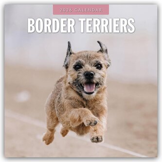 Border Terriers - Border Terrier 2026 - 16-Monatskalender Border Terriers - Border Terrier 2026 - 16-Monatskalender