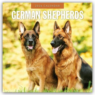 German Shepherds - Deutscher Schäferhund 2026 - 16-Monatskalender German Shepherds - Deutscher Schäferhund 2026 - 16-Monatskalender