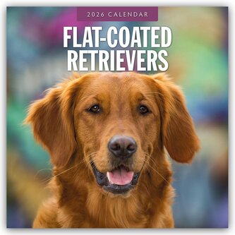 Flat-Coated Retrievers - Flat Coated Retriever 2026 - 16-Monatskalender Flat-Coated Retrievers - Flat Coated Retriever 2026 - 16-Monatskalender