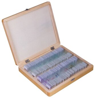 Bresser Prepared Slides 100pcs, w/case