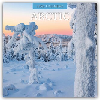 Arctic - Arktis 2026 - 16-Monatskalender Arctic - Arktis 2026 - 16-Monatskalender