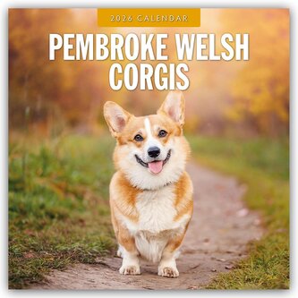 Pembroke Welsh Corgis - Pembroke Welsh Corgi 2026 - 16-Monatskalender Pembroke Welsh Corgis - Pembroke Welsh Corgi 2026 - 16-Monatskalender