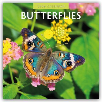 Butterflies - Schmetterlinge 2026 - 16-Monatskalender Butterflies - Schmetterlinge 2026 - 16-Monatskalender