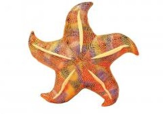 Poduszka pluszowa rozwgwiazda żółta 20cm