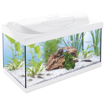 Akvarijní set Tetra Starter Line LED bílá 60x30x30cm 54l