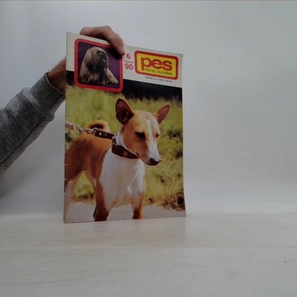 Pes přítel člověka 6/90