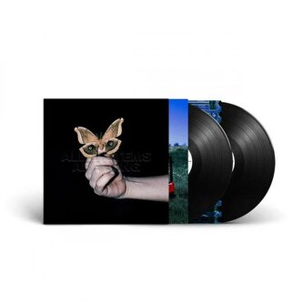 All Systems Are Lying - 2 LP
