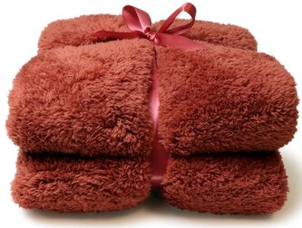 Heboučká deka Teddy cihlová červená