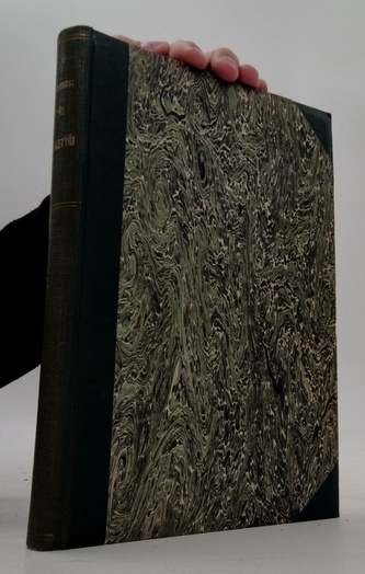 Tři mušketýři I.