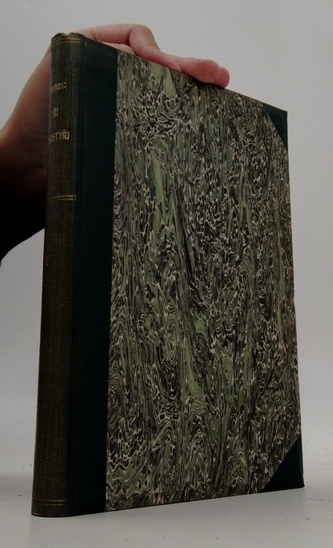 Tři mušketýři II.