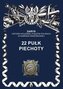 22 pułk piechoty