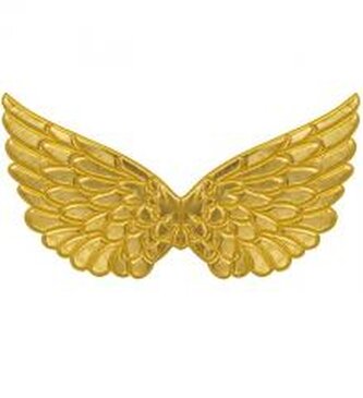 Złote skrzydła