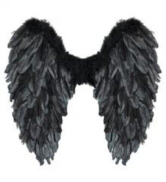 Czarne skrzydła naturalne pióra