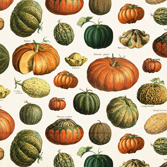 Papírový ubrousek Pumpkins