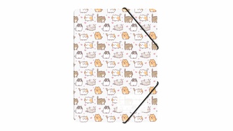 Teczka z gumką A4 PP z nadrukiem kittens BIURFOL TGN-A4-35