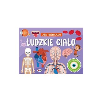 Ale Przyroda Ludzkie ciało Ale Przyroda Ludzkie ciało