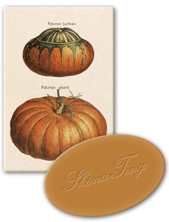 Dárkové mýdlo Pumpkins 25 g