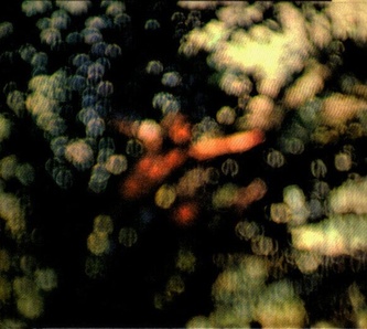 Pink Floyd:  Obscured By Clouds