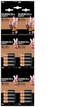 Bateria Alkaliczna LR06 Duracell Simply OP16SZT B/C