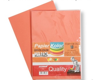 Papier xero A4 80 g pomarańczowy op.100 arkuszy PENWORD CPA4-100SH