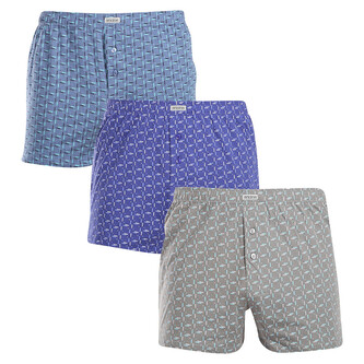 3PACK pánské trenky Andrie vícebarevné (PS 5820) L