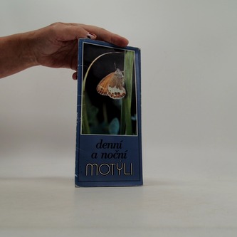 denní a noční motýli