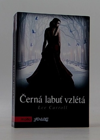 Černá labuť vzlétá