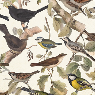 Papírový ubrousek Nordic Birds