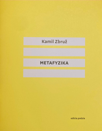 Metafyzika