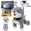 Pies Husky interaktywny robot zdalnie sterowany