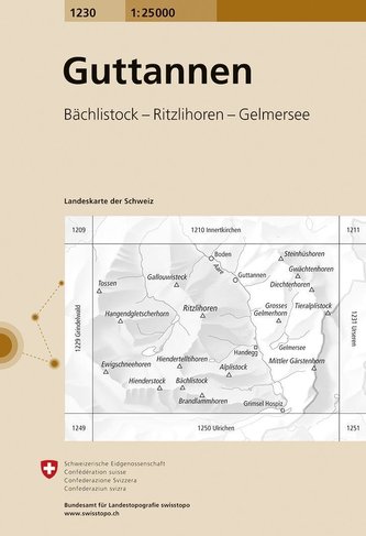 Swisstopo 1 : 25 000 Guttannen