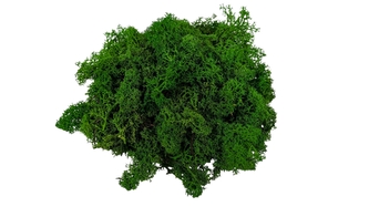 Severský mech 300g lesní zelená