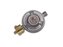 Regulátor tlaku plynu 50mbar, 1,5kg/h RG A310-002, se závitem