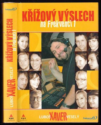 Křížový výslech