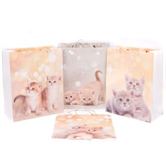 Papírová taška 23x18 cm - sada 12ks, 0/60