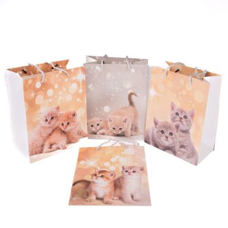 Papírová taška 32x26 cm - sada 12ks, 0/50