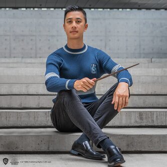 Cinereplicas Svetr famfrpálový Havraspár, Harry Potter Velikost: S