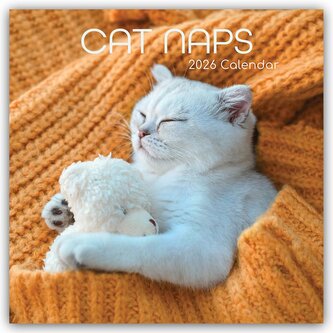 Cat Naps - Träumende Katzen 2026 - 16-Monatskalender Cat Naps - Träumende Katzen 2026 - 16-Monatskalender