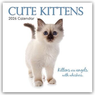 Cute Kittens - Niedliche Kätzchen 2026 - 16-Monatskalender Cute Kittens - Niedliche Kätzchen 2026 - 16-Monatskalender
