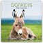 Donkeys - Esel 2026 - 16-Monatskalender