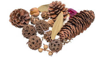 Susz dekoracyjny 30~40g zestaw 6, Brewis Susz dekoracyjny 30~40g zestaw 6, Brewis