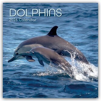 Dolphins - Delfine - Delphine 2026 - 16-Monatskalender