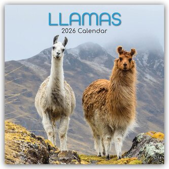 Llamas - Lamas 2026 - 16-Monatskalender Llamas - Lamas 2026 - 16-Monatskalender