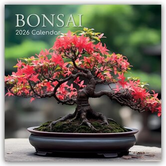 Bonsai - Bonsaibäume 2026 - 16-Monatskalender Bonsai - Bonsaibäume 2026 - 16-Monatskalender