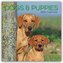 Dogs and Puppies - Hunde und Welpen 2026 - 16-Monatskalender
