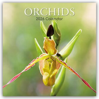 Orchids - Orchideen 2026 - 16-Monatskalender