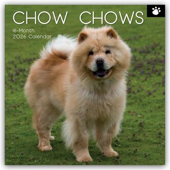Chow Chows 2026 - 16-Monatskalender