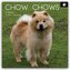 Chow Chows 2026 - 16-Monatskalender