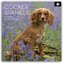 Cocker Spaniels 2026 - 16-Monatskalender